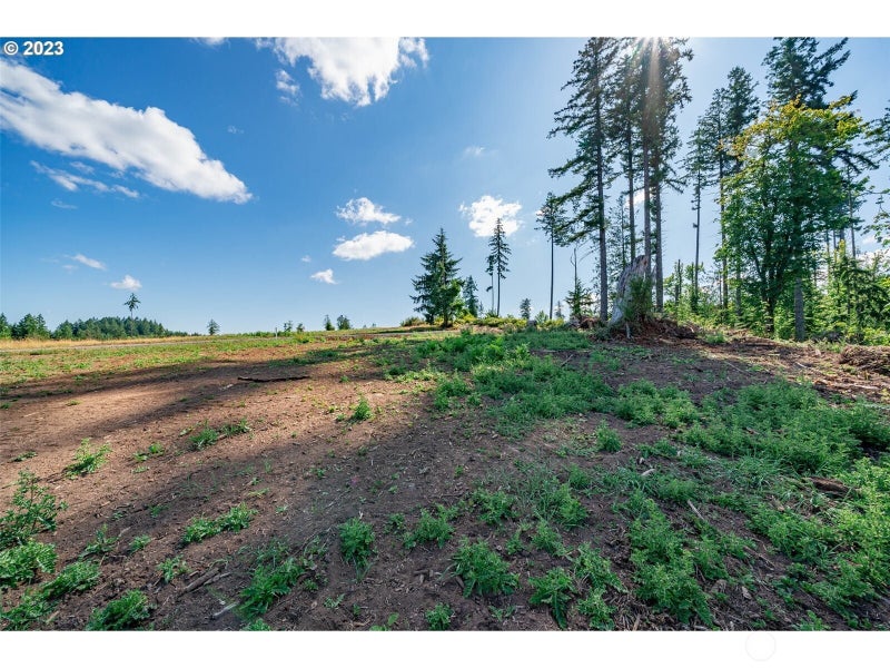 0 S Silver Lake Lot #1 Road