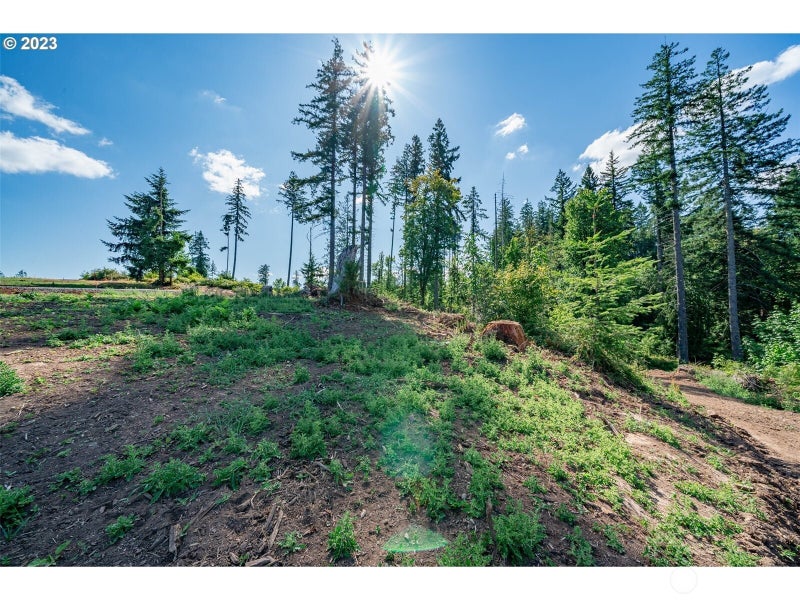 0 S Silver Lake Lot #1 Road
