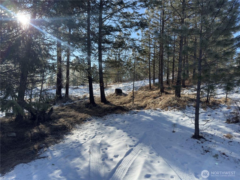 Photo of 0 TBD Cartwright Drive #Lot 2, Tonasket, WA 98855 (MLS # 2470430)