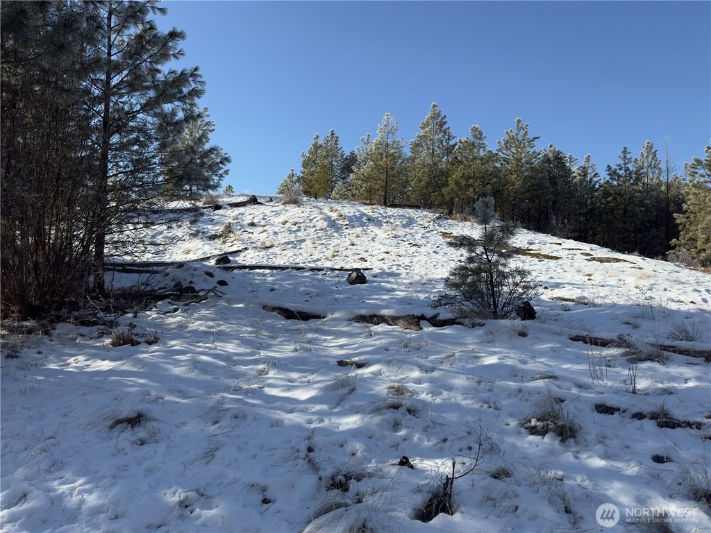 Photo of 0 TBD Cartwright Drive #Lot 2, Tonasket, WA 98855 (MLS # 2470430)