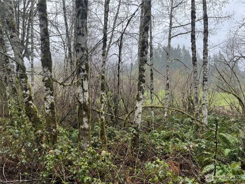 Photo of 2625 Stonecrest Lane NW, Olympia, WA 98502 (MLS # 2497065)