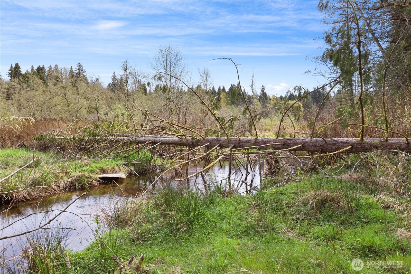 121 N Carpenter Road
