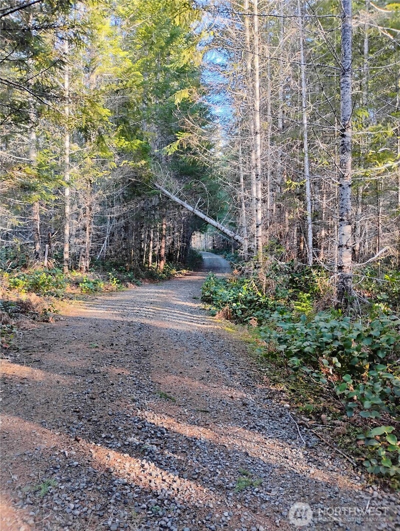 0 Skate Creek Road S