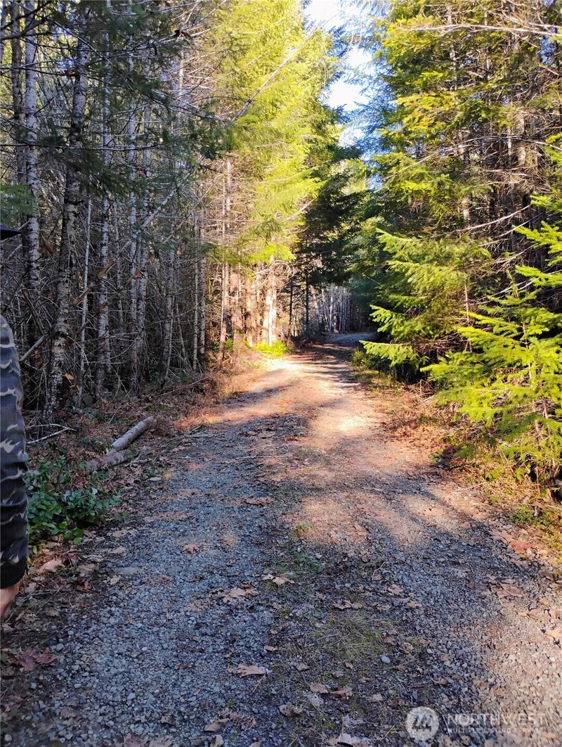 0 Skate Creek Road S