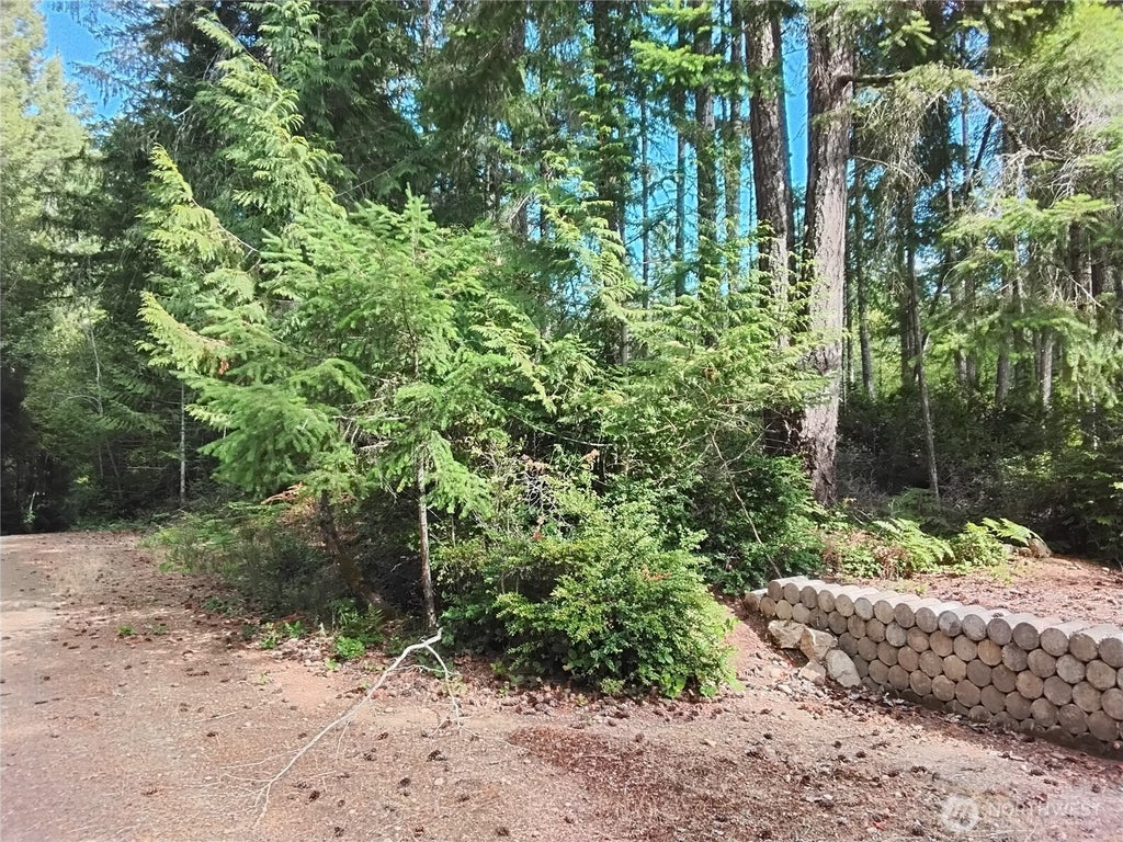 Photo of 0 E Frontier Road, Grapeview, WA 98546 (MLS # 2569264)