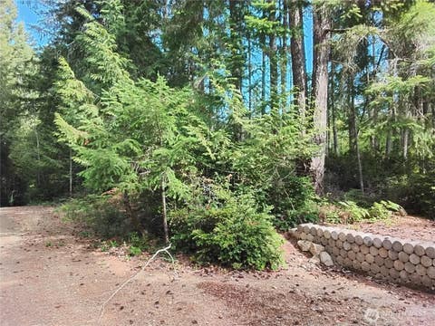 Photo of 0 E Frontier Road, Grapeview, WA 98546 (MLS # 2569264)