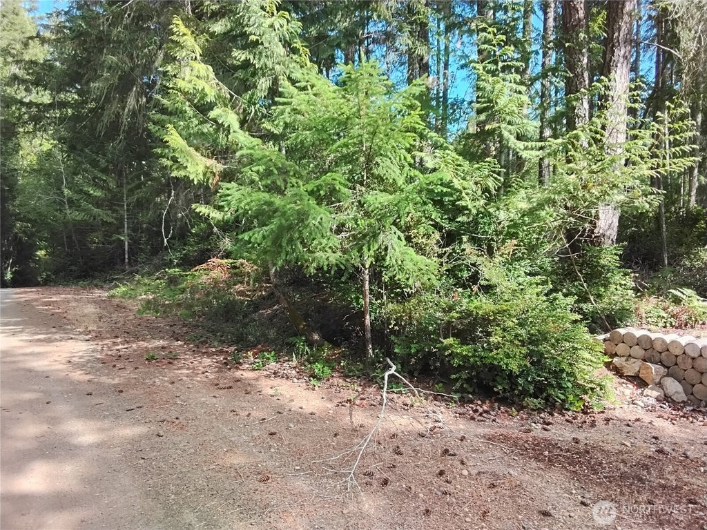 Photo of 0 E Frontier Road, Grapeview, WA 98546 (MLS # 2569264)