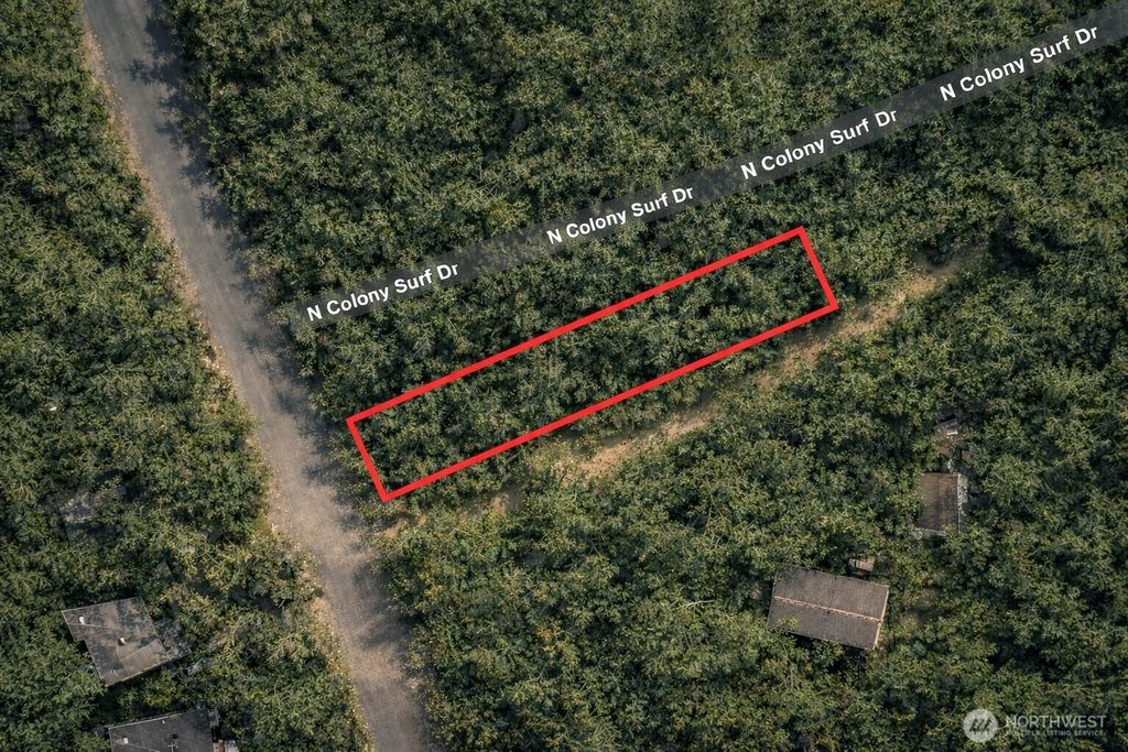 Photo of 619 N Colony Surf Drive, Lilliwaup, WA 98555 (MLS # 2482358)