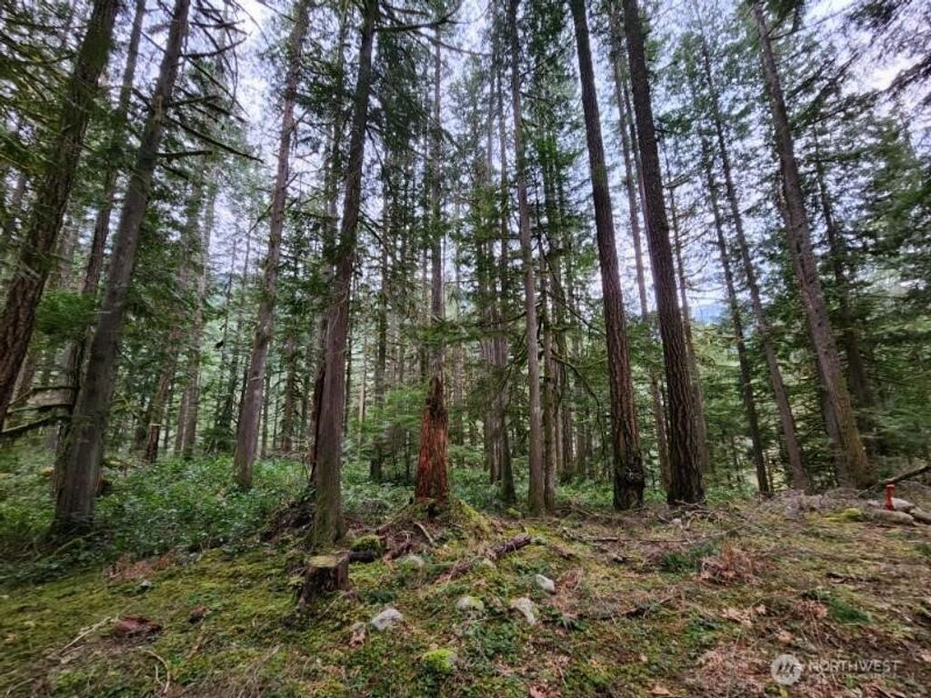 Photo of 0 Cascade River Road, Concrete, WA 98267 (MLS # 2512744)