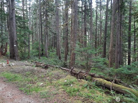 Photo of 0 Cascade River Road, Concrete, WA 98267 (MLS # 2512744)