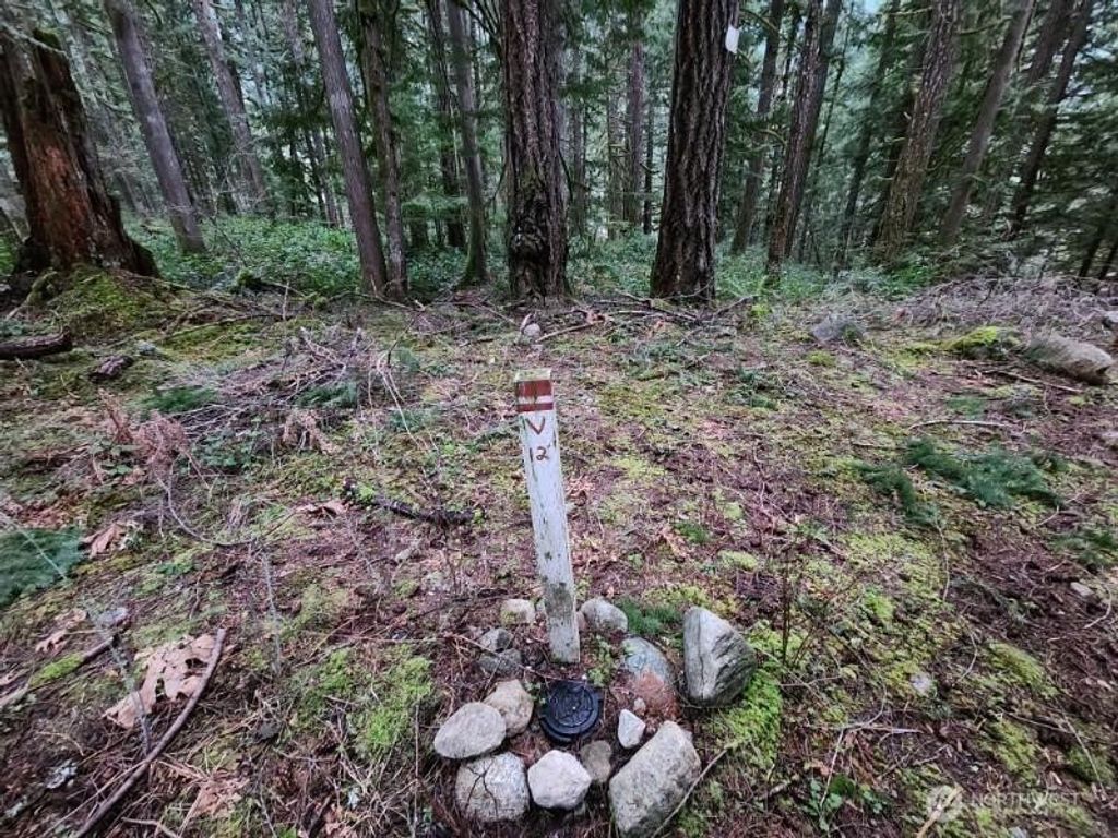 Photo of 0 Cascade River Road, Concrete, WA 98267 (MLS # 2512744)