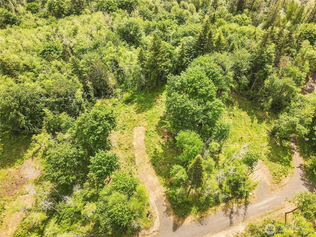 Photo of 131 E Cascara Cove Lane, Shelton, WA 98584 (MLS # 2521143)