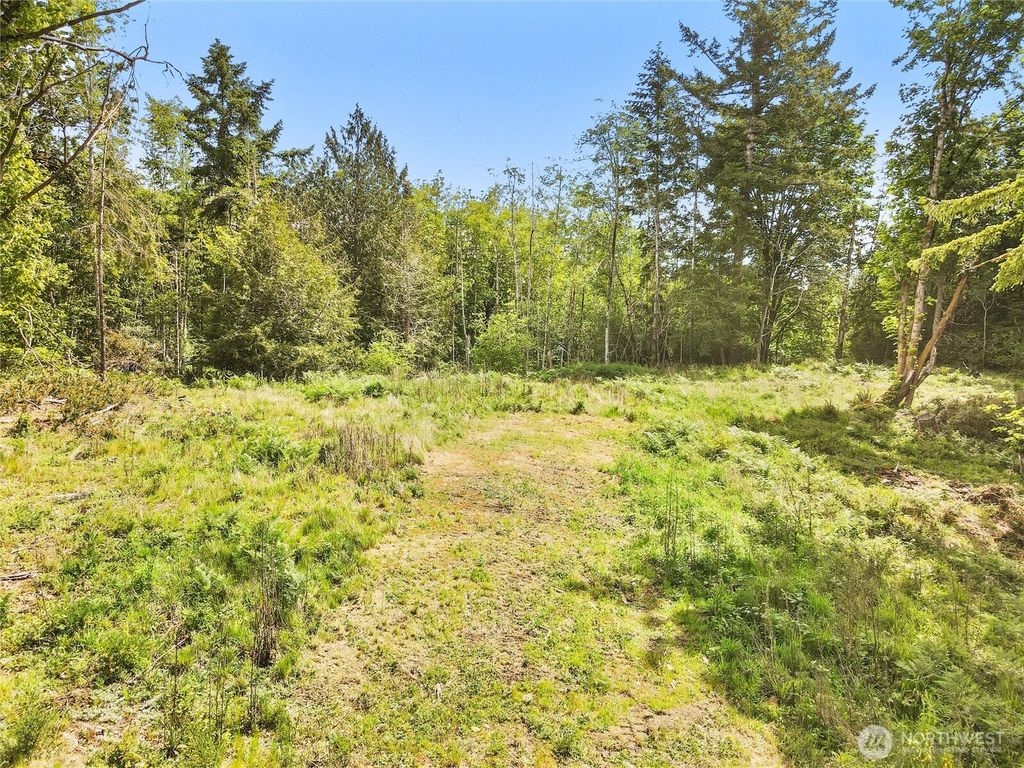 Photo of 131 E Cascara Cove Lane, Shelton, WA 98584 (MLS # 2521143)