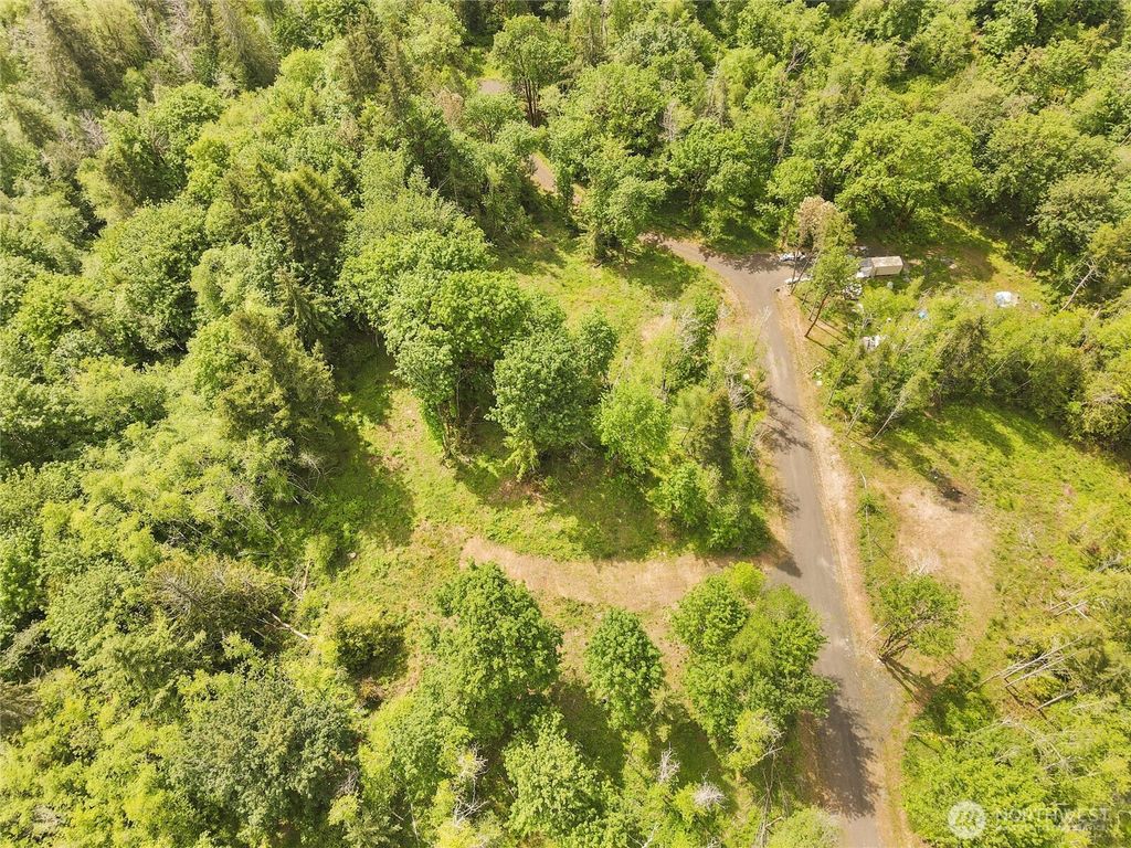 Photo of 131 E Cascara Cove Lane, Shelton, WA 98584 (MLS # 2521143)