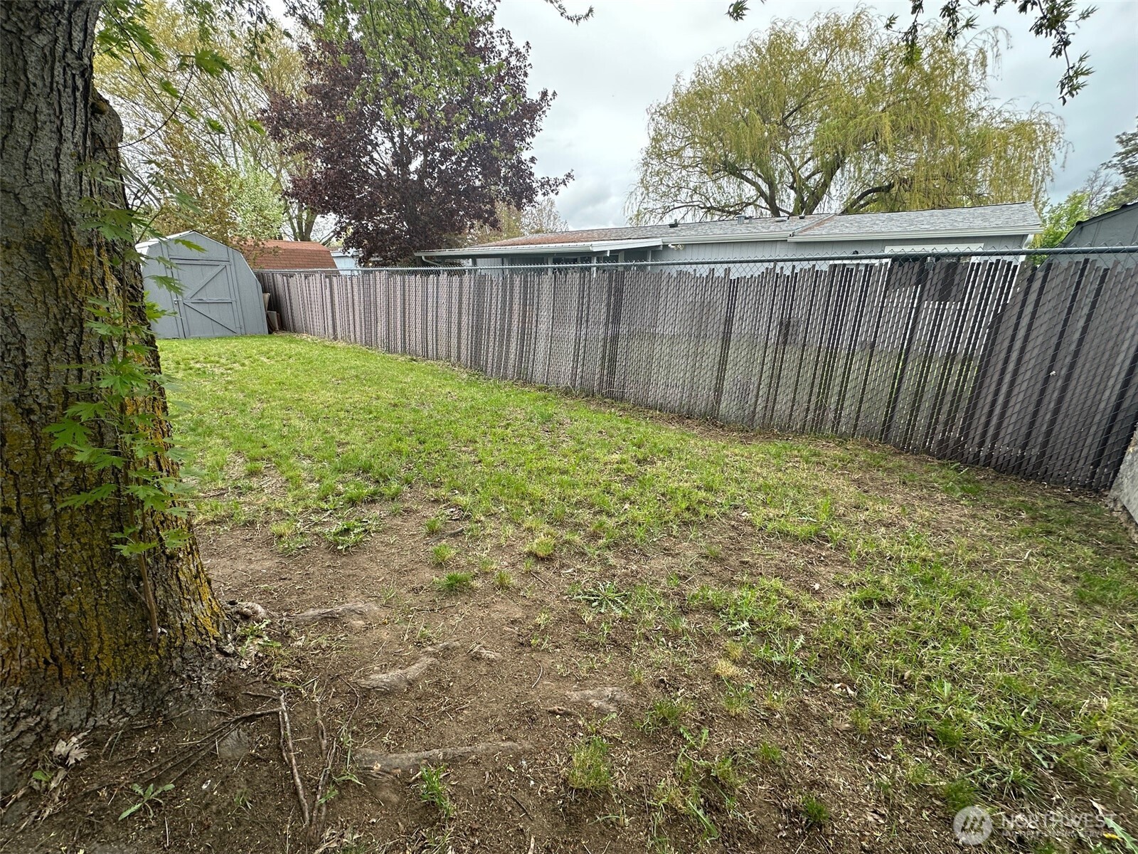 1413 E D Street