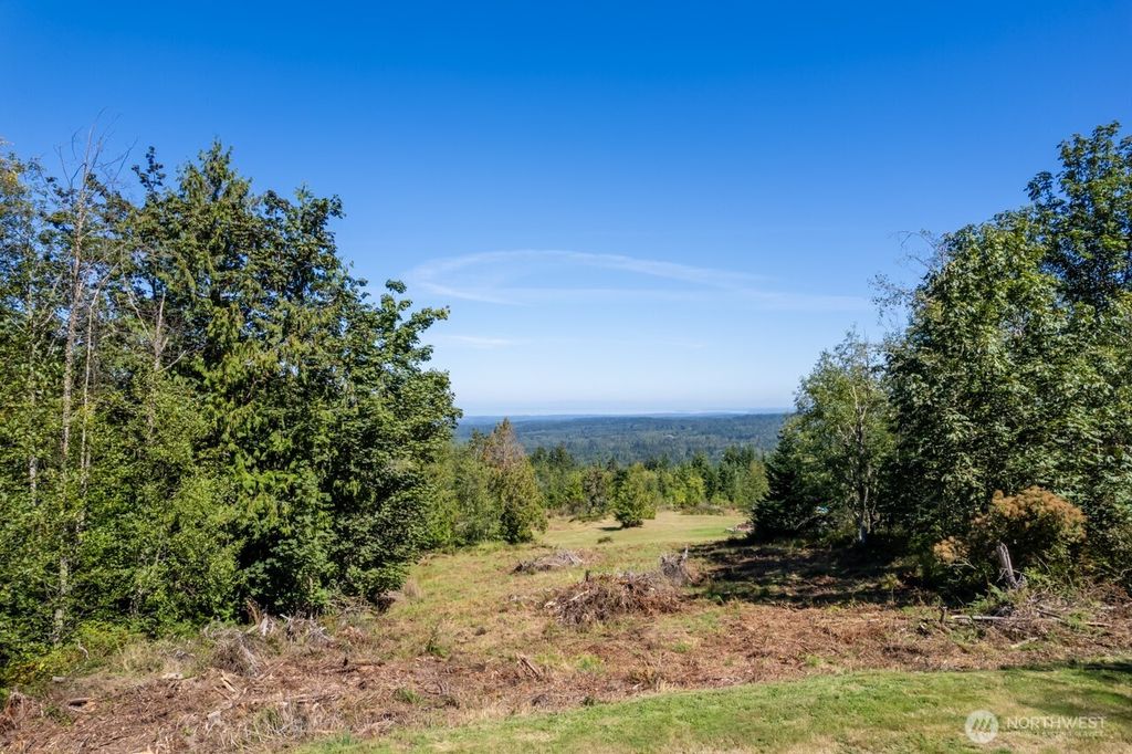 Photo of 9999 Mt Pleasant Road, Port Angeles, WA 98362 (MLS # 2507763)