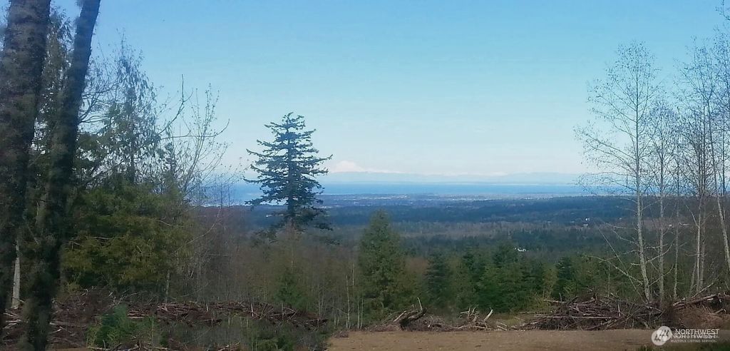 Photo of 9999 Mt Pleasant Road, Port Angeles, WA 98362 (MLS # 2507763)