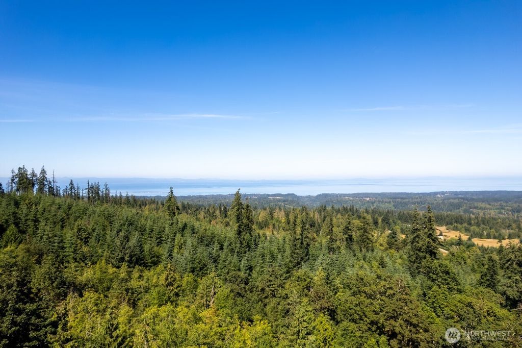 Photo of 9999 Mt Pleasant Road, Port Angeles, WA 98362 (MLS # 2507763)