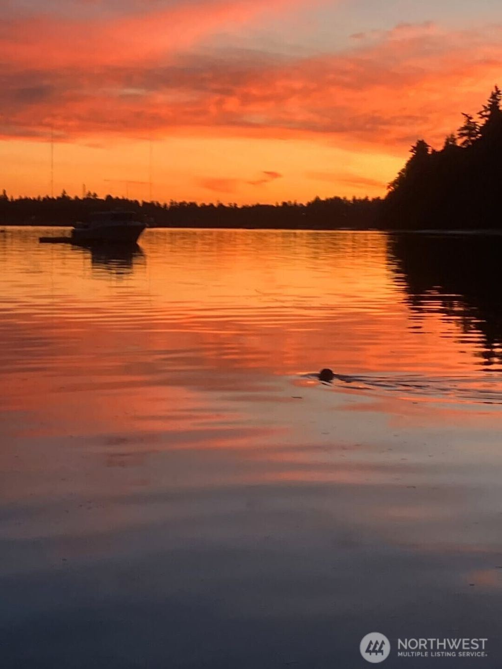 Photo of 24410 Vashon Highway SW, Vashon, WA 98070 (MLS # 2457535)