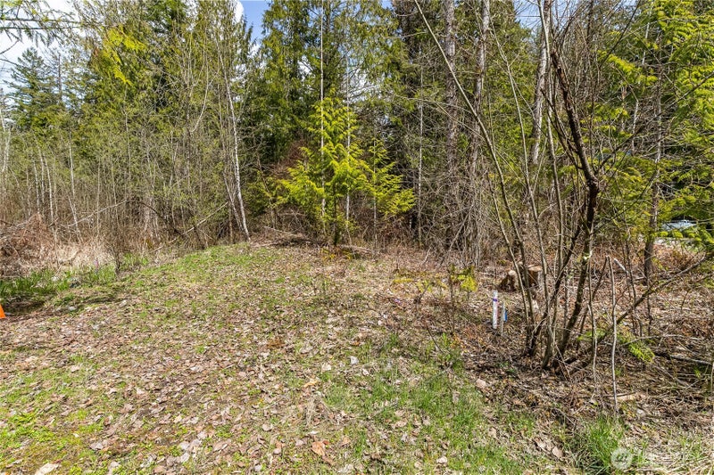 17045 Iceberg Road