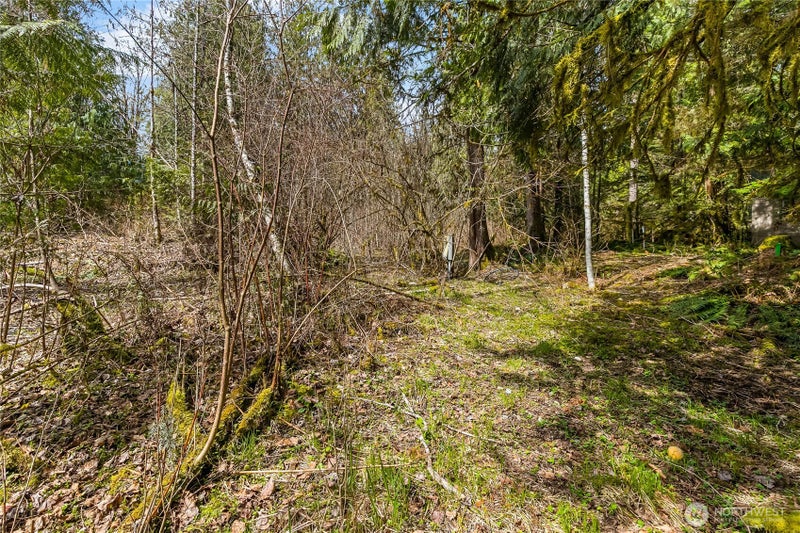 17045 Iceberg Road