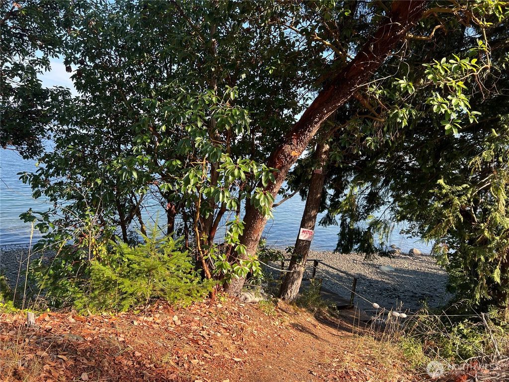 Photo of 61 Nevergiveup Road, Brinnon, WA 98320 (MLS # 2526378)