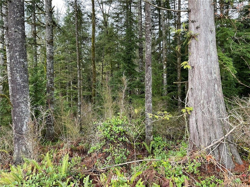 Photo of 66 XA Woods Creek Road, Monroe, WA 98272 (MLS # 1865331)
