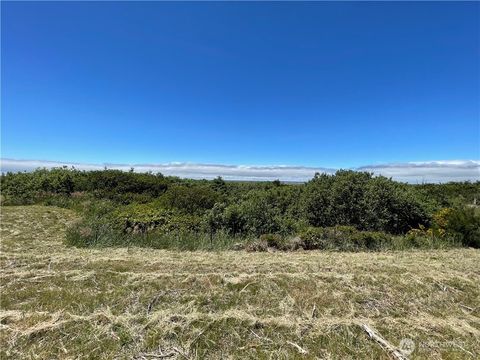 72 Dunes Lane Ocean City WA 98569