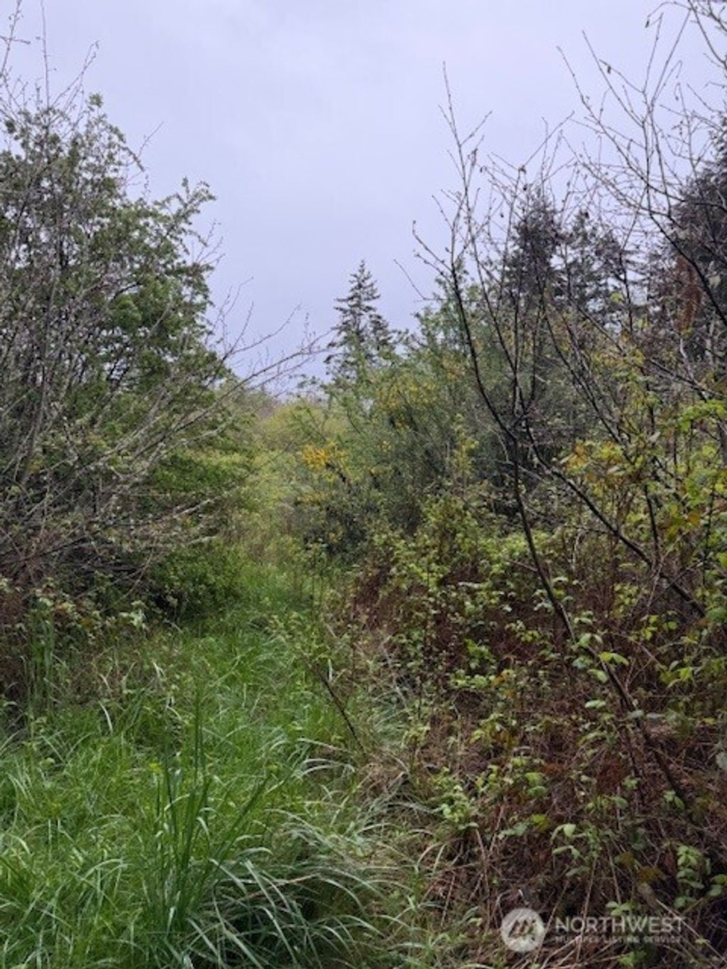 Photo of 1 NKA 30th Street, Port Townsend, WA 98368 (MLS # 2504407)