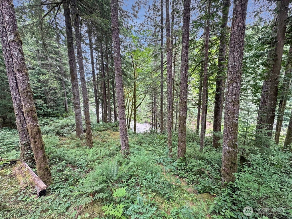 Photo of 194 E Big River Boulevard #3, Deming, WA 98244 (MLS # 2561766)