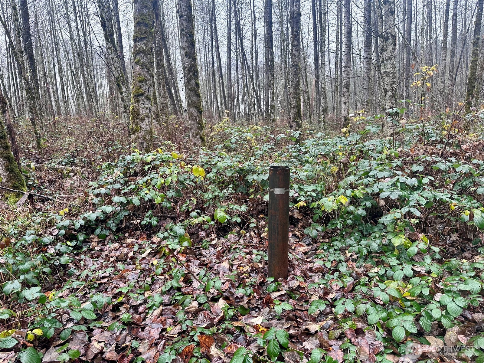 1230 Silverbrook Road