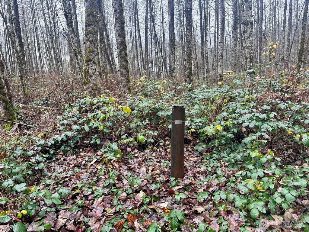 Photo of 1230 Silverbrook Road, White Pass, WA 98937 (MLS # 2457716)