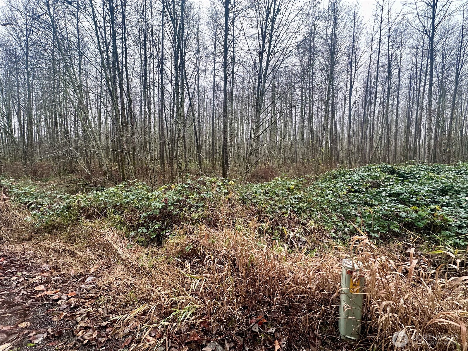 1230 Silverbrook Road