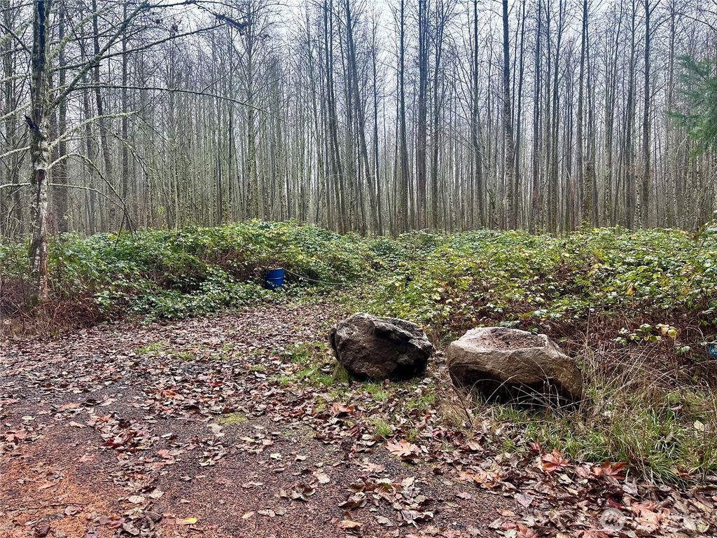 Photo of 1230 Silverbrook Road, White Pass, WA 98937 (MLS # 2457716)