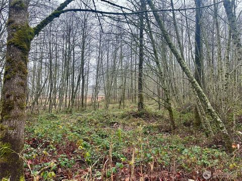 Photo of 1230 Silverbrook Road, White Pass, WA 98937 (MLS # 2457716)