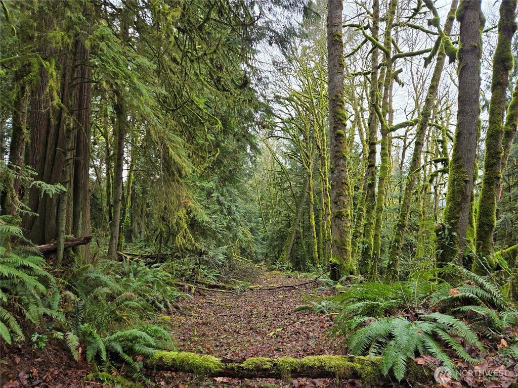 Photo of 184 xx 123rd (Central Lot) Avenue NE, Arlington, WA 98223 (MLS # 2489832)