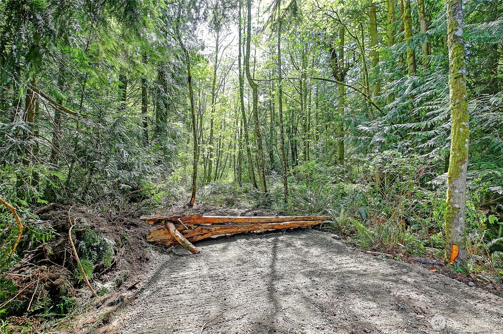 100 W Mountain View Road