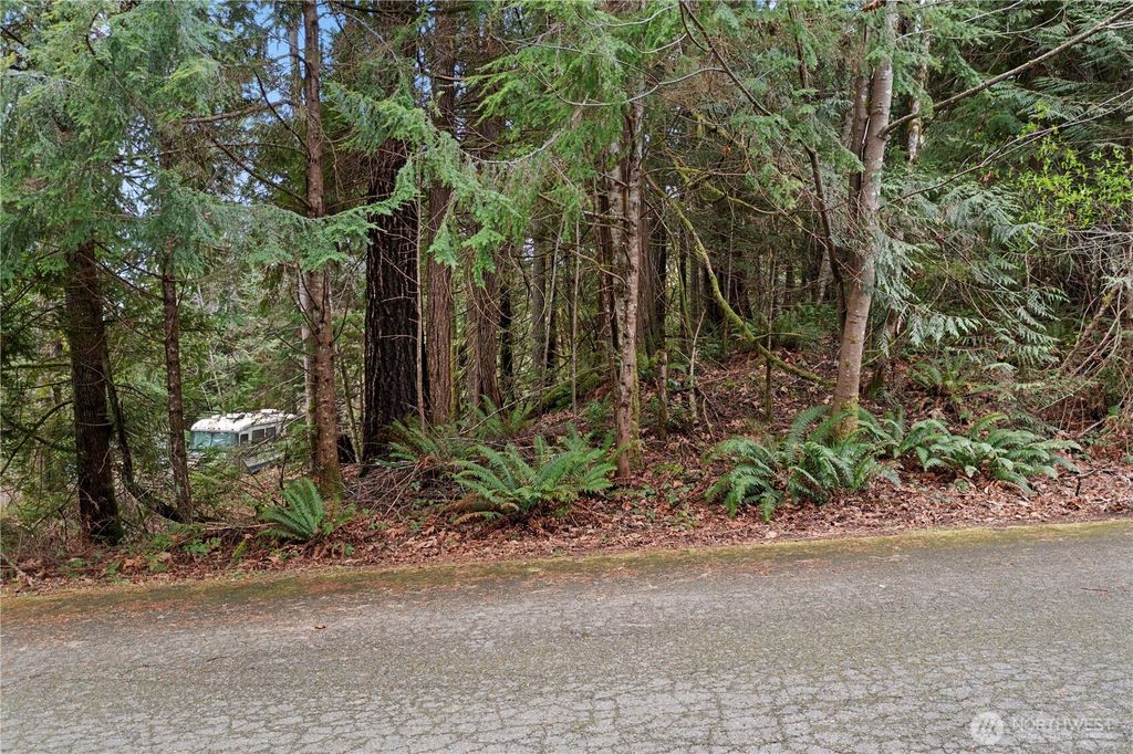 Photo of 0 N Olympic Trails Drive, Lilliwaup, WA 98555 (MLS # 2494970)