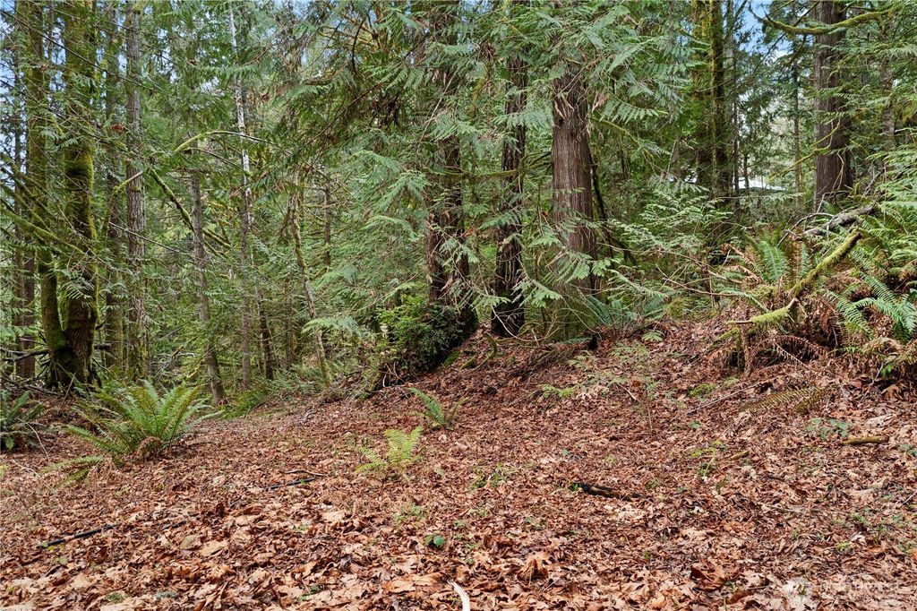 Photo of 0 N Olympic Trails Drive, Lilliwaup, WA 98555 (MLS # 2494970)
