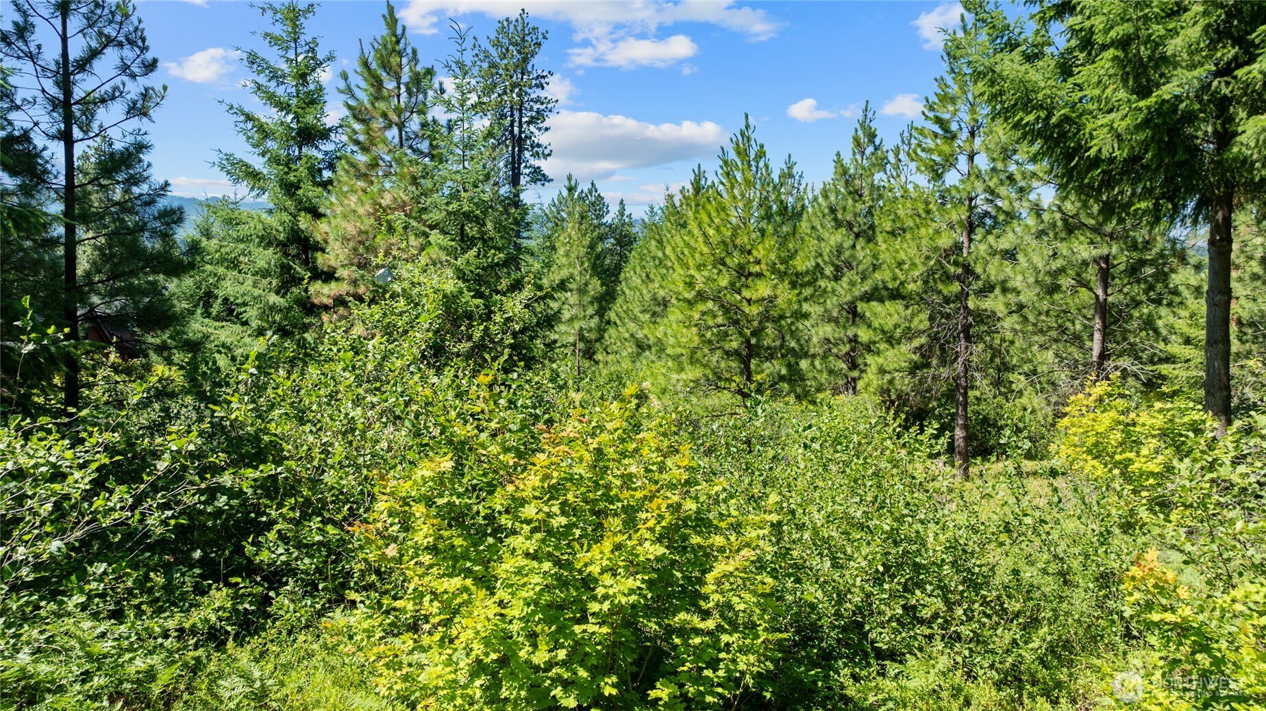 3690 Swiftwater Drive