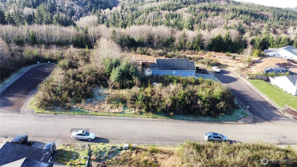 Photo of 0 Curlew Court, Hoquiam, WA 98550 (MLS # 2500841)
