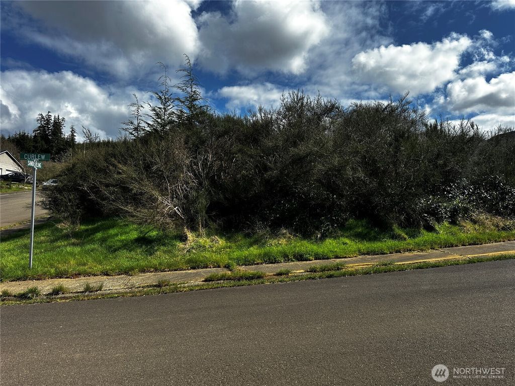 Photo of 0 Curlew Court, Hoquiam, WA 98550 (MLS # 2500841)