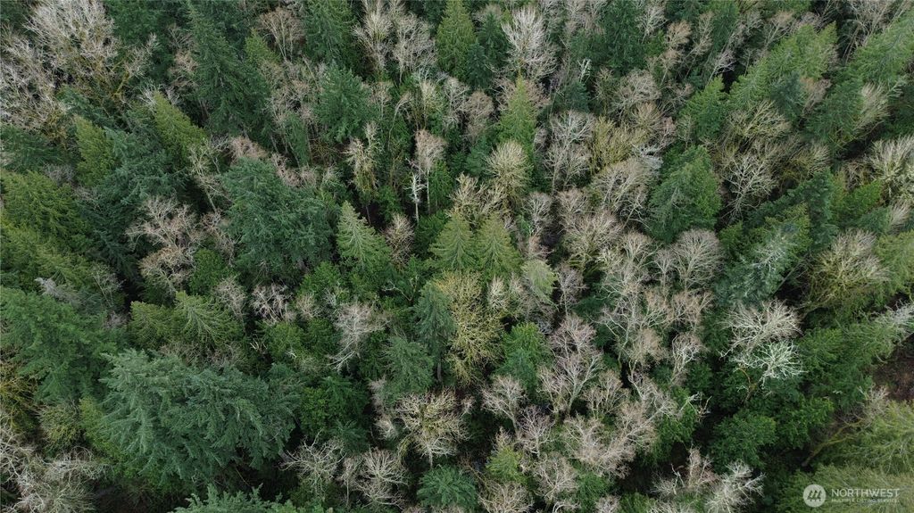 Photo of 10 E Street, Bellingham, WA 98225 (MLS # 2502336)