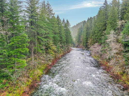 WASHOUGAL RIVER RD, WASHOUGAL, WA 98671 - Image 93d0ae8e5d31b1c6ba46e37259d5d2aa/538283920