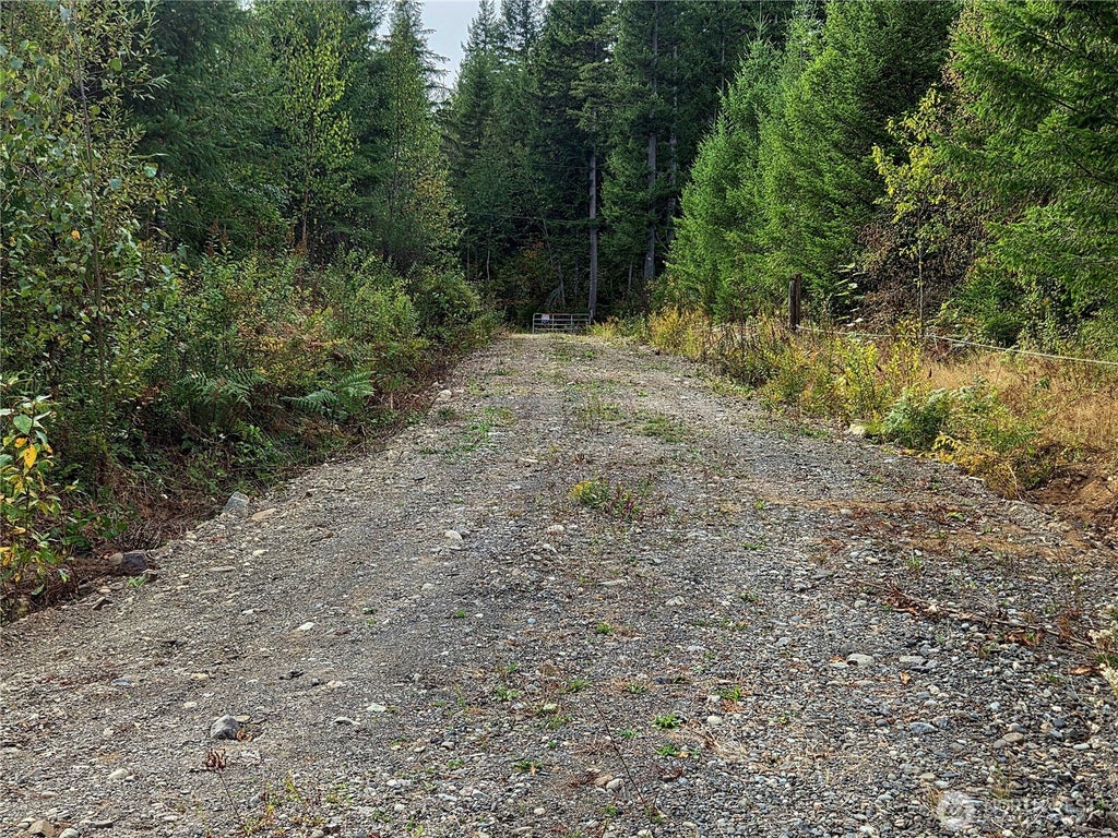 Photo of 0 Heady Road, Maple Falls, WA 98266 (MLS # 2581483)