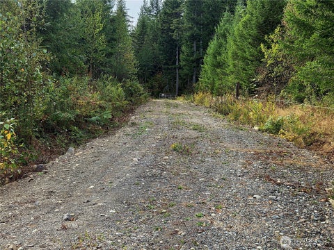 Photo of 0 Heady Road, Maple Falls, WA 98266 (MLS # 2581483)