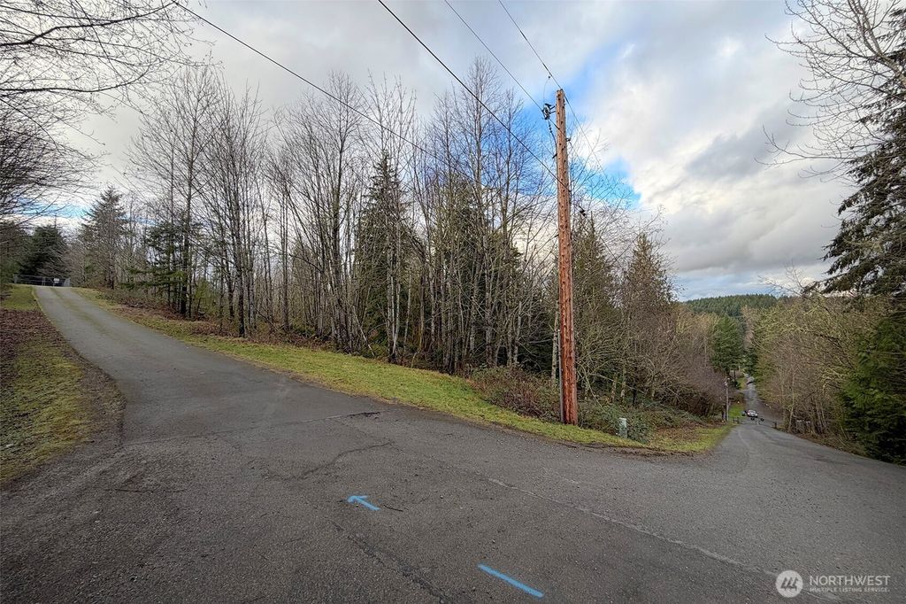 Photo of 27005 262nd Avenue SE, Ravensdale, WA 98051 (MLS # 2468737)
