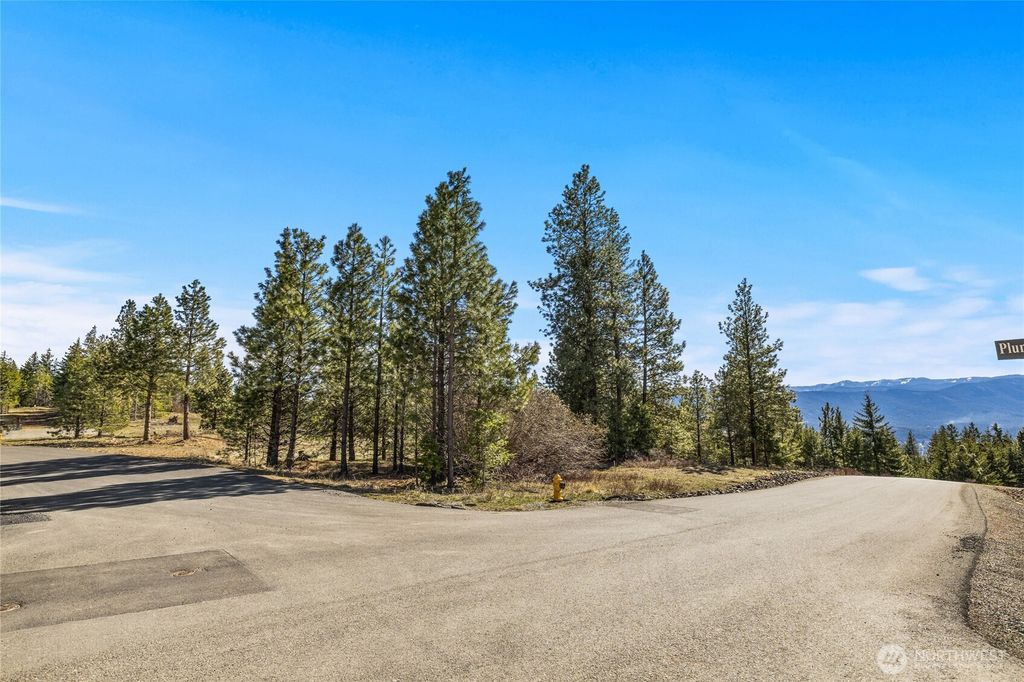 Photo of 80 Forest Ridge (Lot 80) Drive, Cle Elum, WA 98922 (MLS # 2505218)