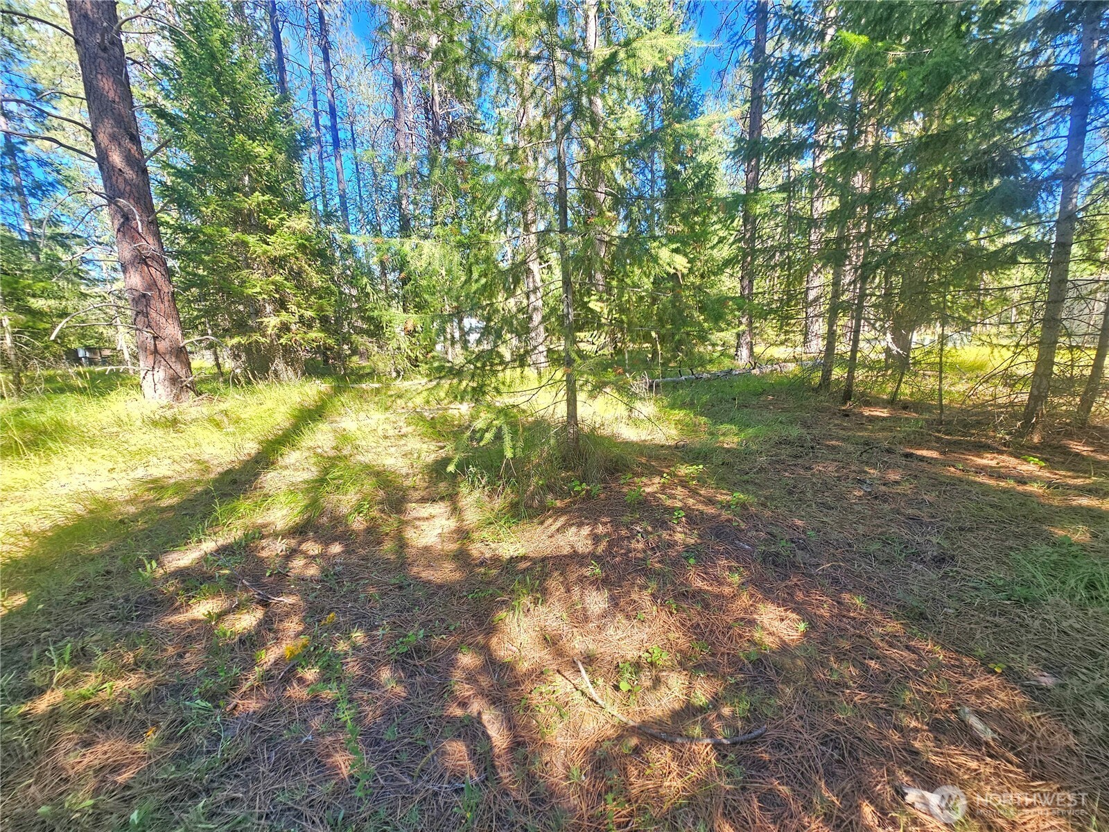 270 Eagle Dr
