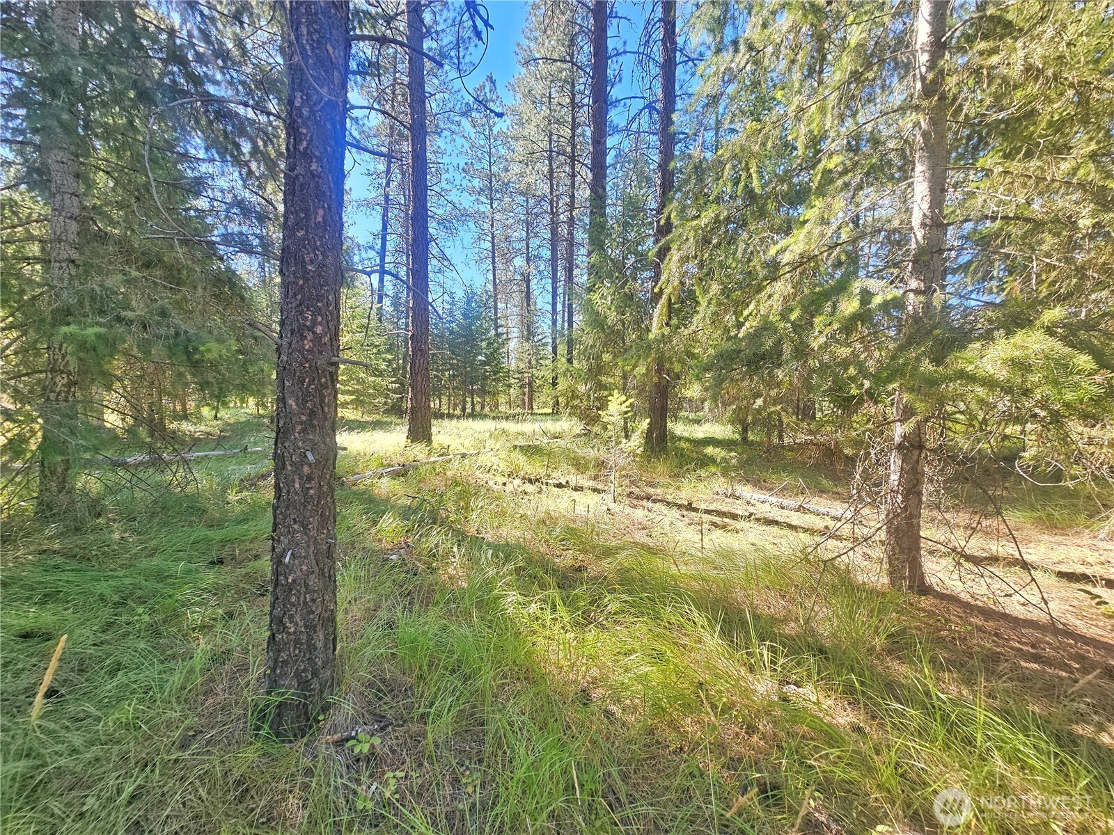 270 Eagle Dr
